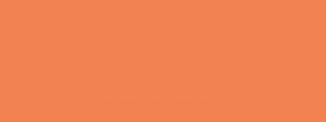 logotyp_orange